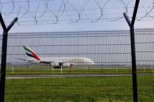 DSC8687-scaled-400x300