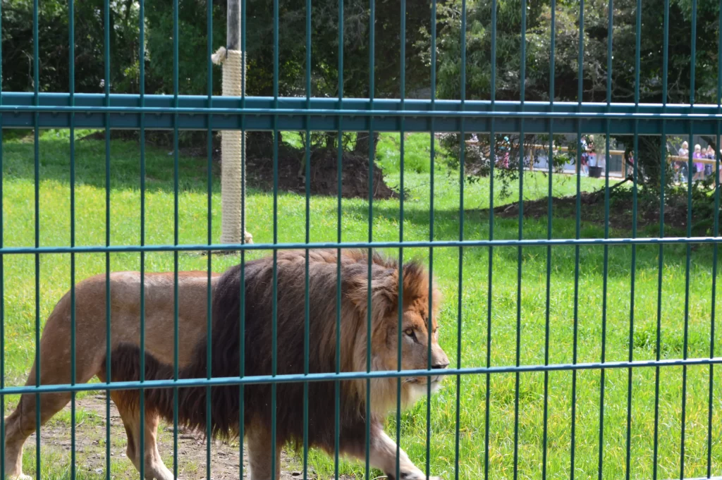 فنس باغ وحش